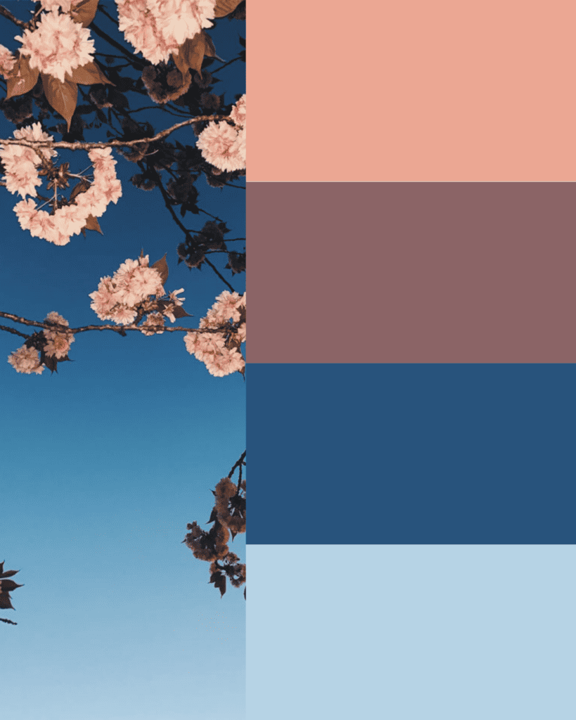 sincerecopy colour of the year 2024 peach fuzz colour palettes blossom blue skies web design