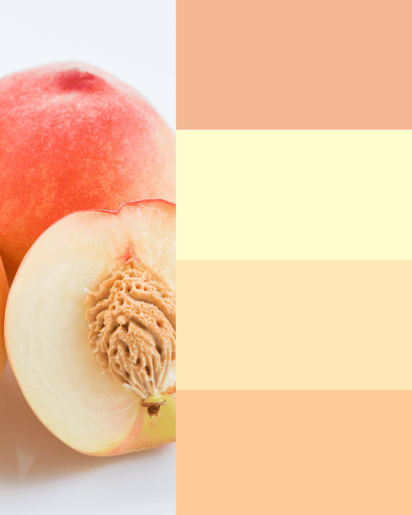 sincerecopy colour of the year 2024 peach fuzz colour palettes peaches and cream web design